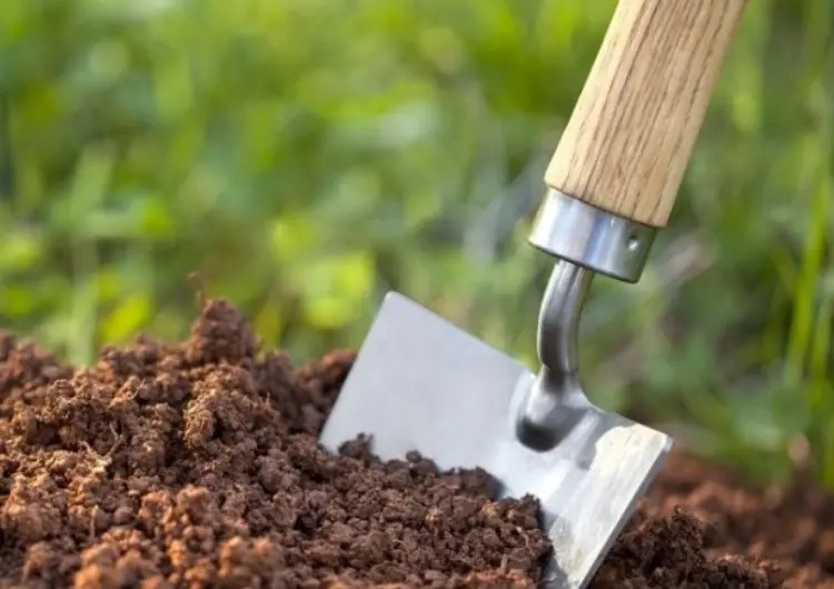 Comment démarrer le compostage ?